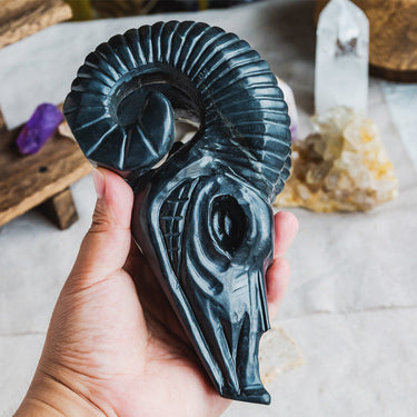 Shungite Sheep Head