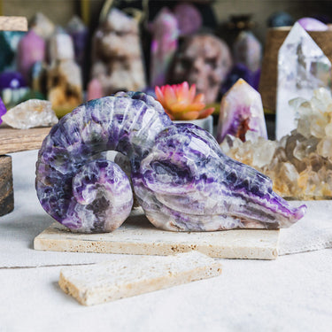 Dream Amethyst Sheep Head