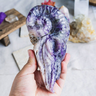 Dream Amethyst Sheep Head