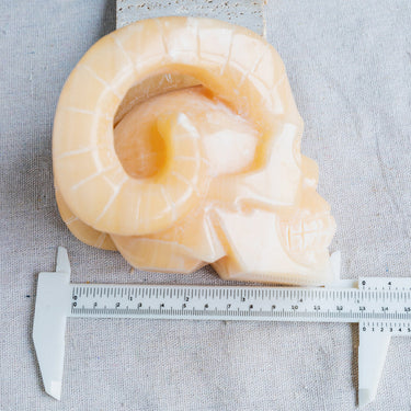 Orange Calcite Sheep Skull