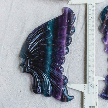 Rainbow Fluorite Wings