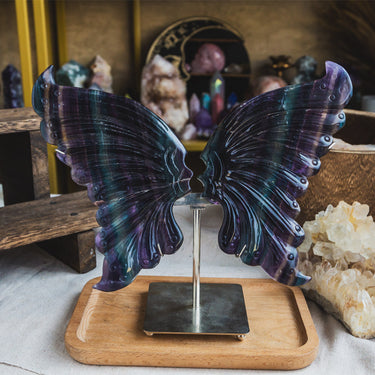 Rainbow Fluorite Wings