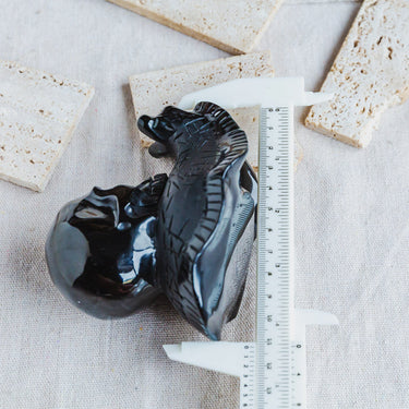 Black Obsidian Skull With Snail