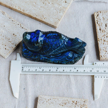 Labradorite Fish