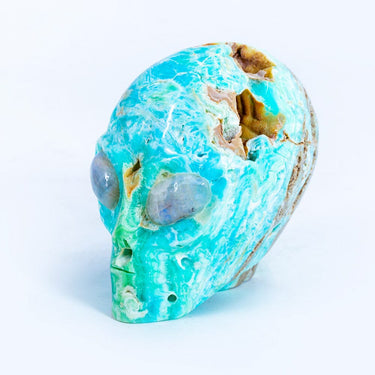 Alien Skull With Labradorite Eyes