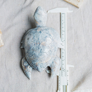 White Crazy Lace Agate Turtle