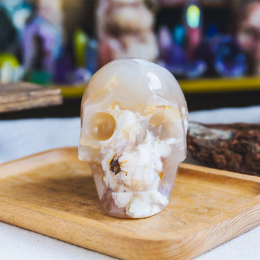 4" Flower Agate Skull