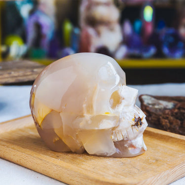 4" Flower Agate Skull