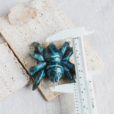 Labradorite Spider