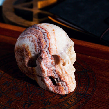 Dali jasper skull