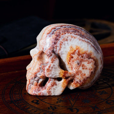 Dali jasper skull