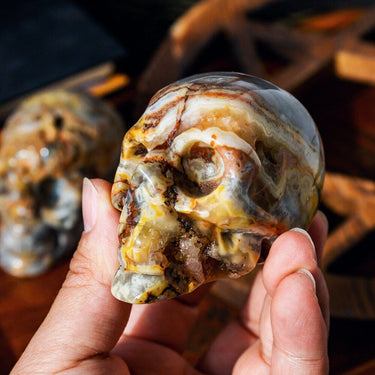 3" Crazy lace agate skull