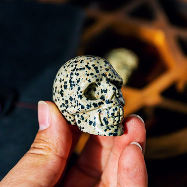 1.5" Dalmatian Jasper Skull