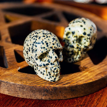 1.5" Dalmatian Jasper Skull