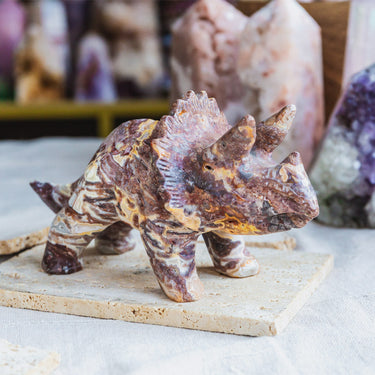 Mexico Sardonyx Triceratops