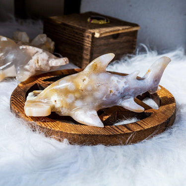 Flower Agate Shark