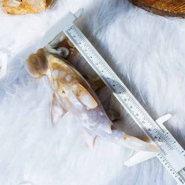 Flower Agate Shark