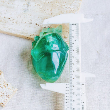 Green Fluorite Human Heart