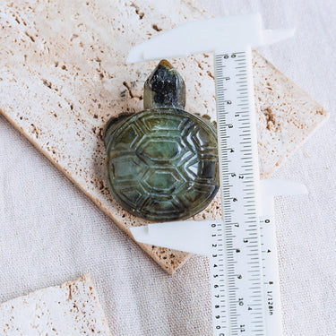 Labradorite Tortoise