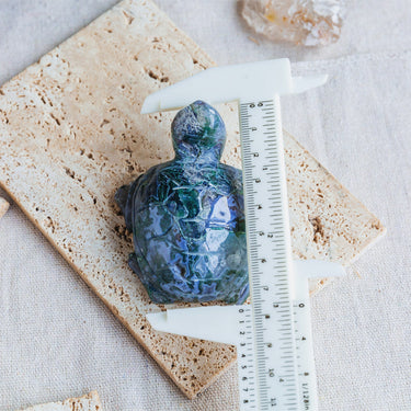 Moss Agate Tortoise