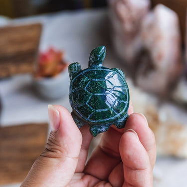 Moss Agate Tortoise