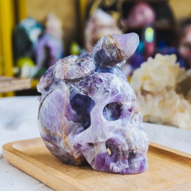 Dream Amethyst Skull With Snake