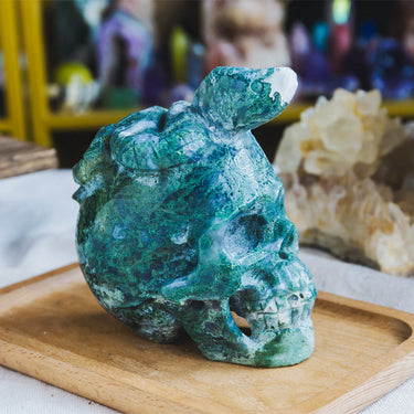 Moss Agate Skull With Snake