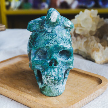 Moss Agate Skull With Snake