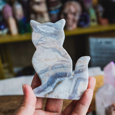 White Crazy Lace Agate Cat Slice