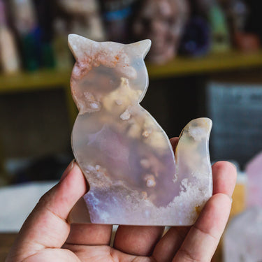 Flower Agate Cat Slice