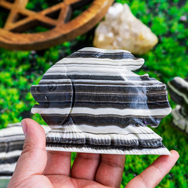 Zebra Calcite Fish