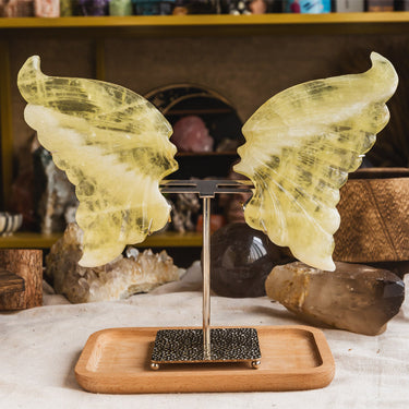 Citrine Butterfly Wings