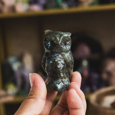 Labradorite  Owl