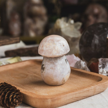 Flower Agate Mushroom