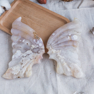 Flower Agate Wing