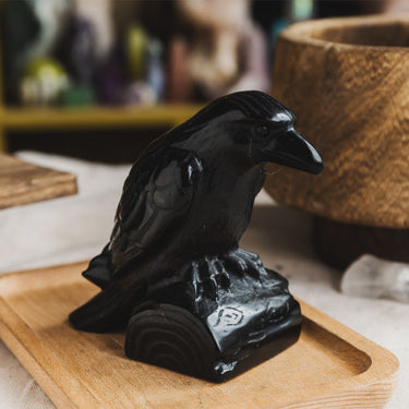 Black Obsidian Crow