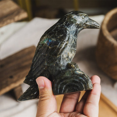 Labradorite Crow