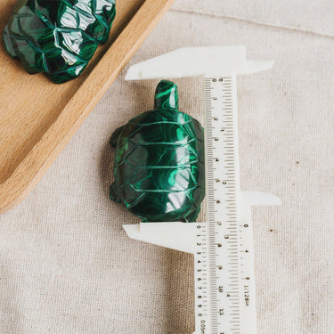 Malachite Turtle