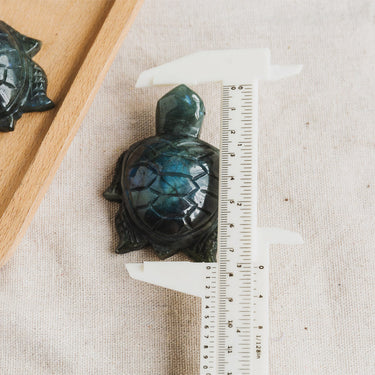 Labradorite Turtle