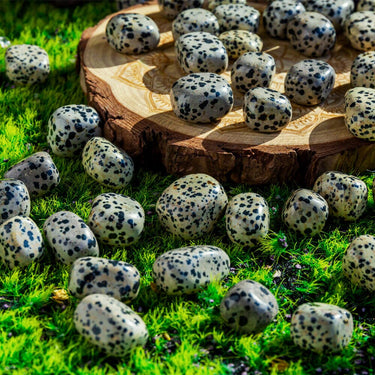 Dalmatian Jasper Cube