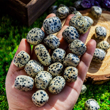 Dalmatian Jasper Cube