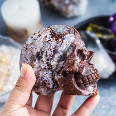 Mexico Sardonyx Hollow Skull