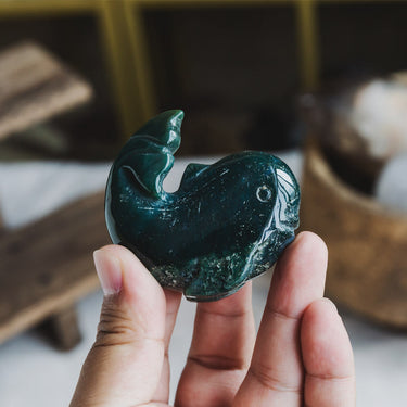 Ocean Jasper Whale