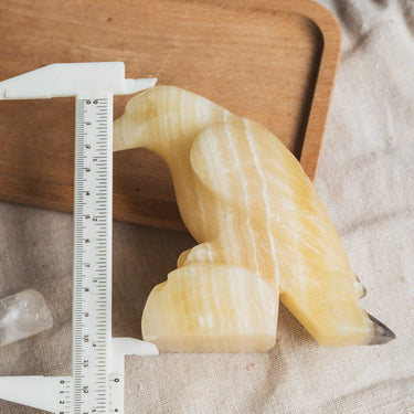 Zebra Calcite Crow