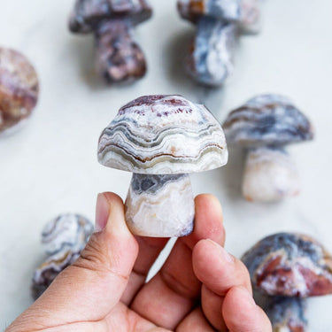 Mexican Agate mushroom