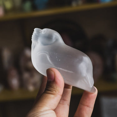 Selenite Sea Lion