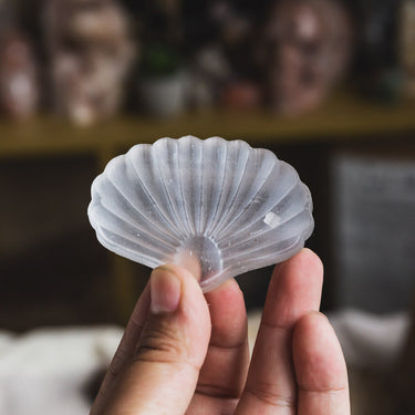 Selenite Shell