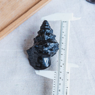 Black Obsidian Conch