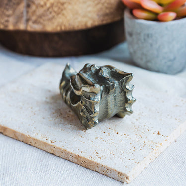 3" Pyrite Dragon Head