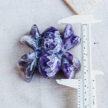 Dream Amethyst Spider